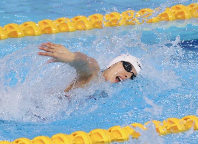 开云-游泳争霸赛张雨霏100蝶夺冠 杨浚瑄打破亚洲纪录